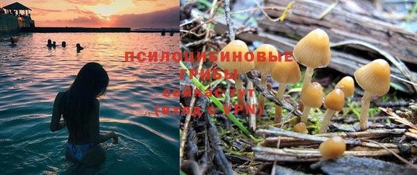 apvp Покров